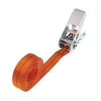 Pas transportowy z napinaczem HILLS 5m/25mm/1t pas jednoczęściowy do opasania