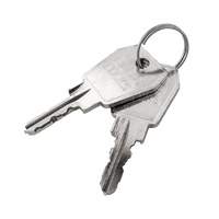 Carver kulcs 25013 (2 db.)